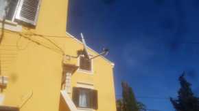 118 Ćunski